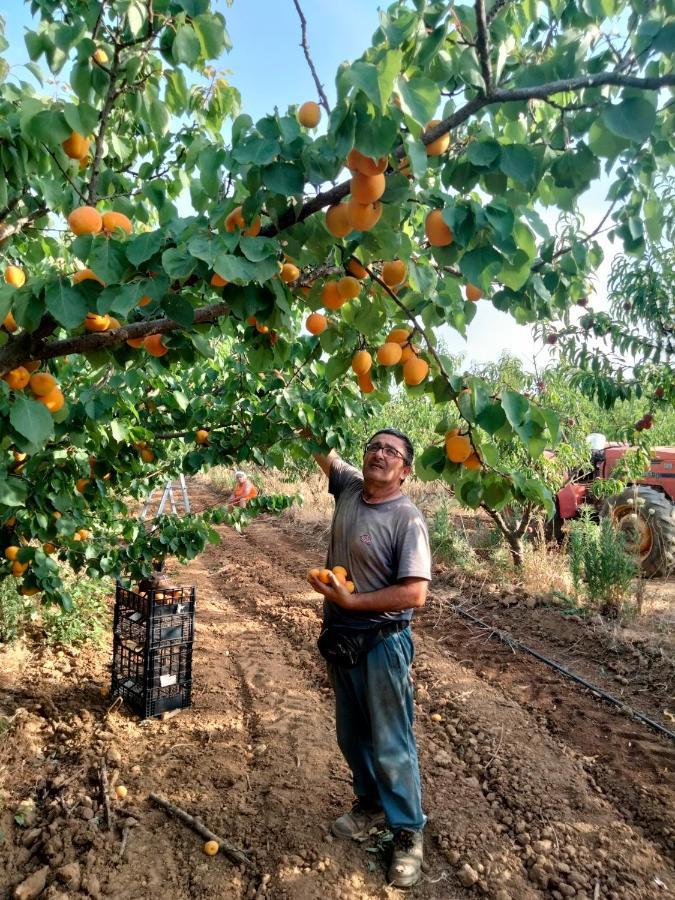 I Doni Del Mandorlo Agroturismo Alguer